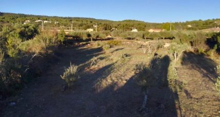 Tavernes Terrain à bâtir - 1796258-10122annonce220240222xnwtk.jpeg Maisons Open