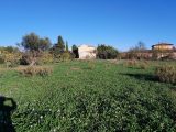  1798248-5922annonce320240226BN1Hb.jpeg Maisons Open