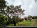  1800335-2970annonce320240228dCcIc.jpeg Maisons Open