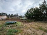  1798698-2970annonce12024022813pe0.jpeg Maisons Open