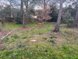  1773237-3951annonce3202401244Dh5I.jpeg Maisons Open