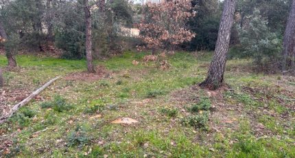 Vidauban Terrain à bâtir - 1773237-3951annonce3202401244Dh5I.jpeg Maisons Open