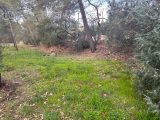  1773237-3951annonce420240124EvCc6.jpeg Maisons Open