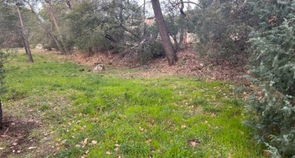 Vidauban Terrain à bâtir - 1773237-3951annonce420240124EvCc6.jpeg Maisons Open