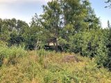  1739345-7109annonce1202311301CW92.jpeg Maisons Open