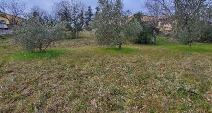 Vinezac Terrain à bâtir - 1798175-9707annonce420240226dQpOO.jpeg Maisons Open