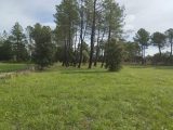  1798250-9707annonce3202402269sTlk.jpeg Maisons Open