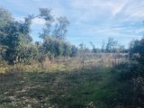  1798284-9707annonce120240226iaaDt.jpeg Maisons Open