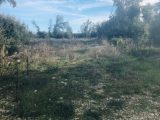  1798284-9707annonce320240226g45ed.jpeg Maisons Open