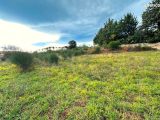 1798530-9707annonce120240226Bq970.jpeg Maisons Open