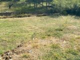  1799092-9707annonce320240226PJ5N8.jpeg Maisons Open