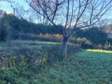  1799605-9707annonce2202402277qzSa.jpeg Maisons Open