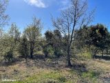  1799817-9707annonce220240227zR94E.jpeg Maisons Open
