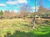  1799840-9707annonce320240227TpWc4.jpeg Maisons Open