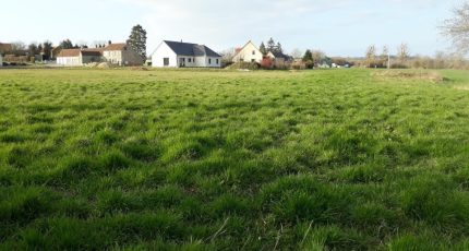 Lougé-sur-Maire Terrain à bâtir - 1747334-5869annonce220231214M6aZV.jpeg Maisons Open