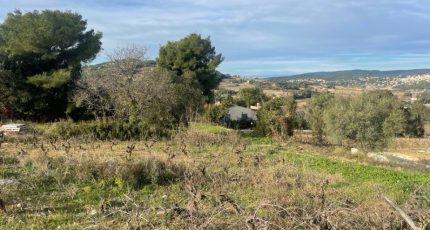 Le Castellet Terrain à bâtir - 1805472-10678annonce120240306mWp6B.jpeg Maisons Open