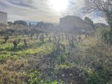  1805472-10678annonce320240306cRGuH.jpeg Maisons Open