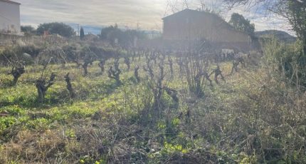 Le Castellet Terrain à bâtir - 1805472-10678annonce320240306cRGuH.jpeg Maisons Open