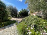  1816650-10678annonce120240318hLFMt.jpeg Maisons Open