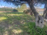  1816650-10678annonce320240318WCJ2e.jpeg Maisons Open