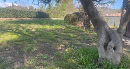 Le Castellet Terrain à bâtir - 1816650-10678annonce320240318WCJ2e.jpeg Maisons Open