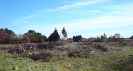 Pézilla-la-Rivière Terrain à bâtir - 1741440-666annonce120231205HfBry.jpeg Maisons Open