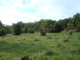  1741482-666annonce120231205cVHTJ.jpeg Maisons Open