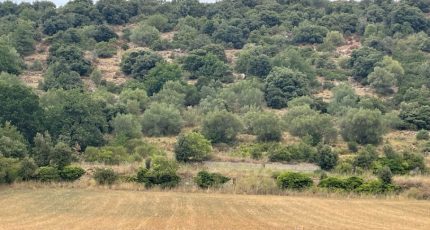Prades Terrain à bâtir - 1782818-5472annonce120240205Dp6aS.jpeg Maisons Open