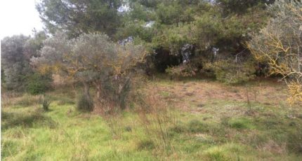 Salon-de-Provence Terrain à bâtir - 1811506-7289annonce120240313wQIC8.jpeg Maisons Open