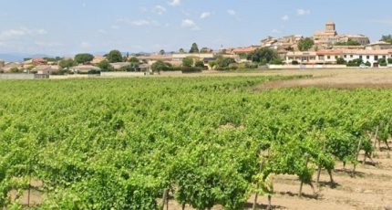 Thézan-lès-Béziers Terrain à bâtir - 1782854-4512annonce120240205gurBE.jpeg Maisons Open