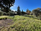  1745390-7060annonce120231211lBnB3.jpeg Maisons Open