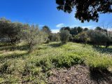  1745390-7060annonce4202312115H8rC.jpeg Maisons Open