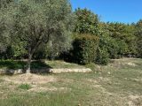  1782985-7060annonce220231006f6pD8.jpeg Maisons Open