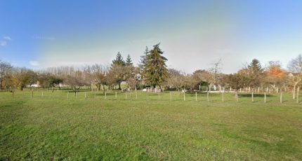 La Croix-en-Touraine Terrain à bâtir - 1746126-9897annonce120231212Ey0Aw.jpeg Maisons Open