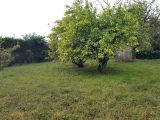  1814770-3427annonce12024031588GvO.jpeg Maisons Open