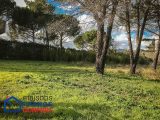  1751540-5871annonce2202312214EXzL.jpeg Maisons Open
