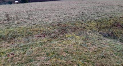 Bonnac-la-Côte Terrain à bâtir - 1768855-3291annonce1202401184B44y.jpeg Maisons Open
