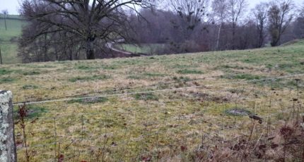 Boisseuil Terrain à bâtir - 1768891-3291annonce120240118lOfiX.jpeg Maisons Open