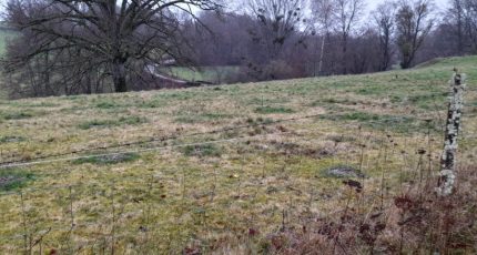 Boisseuil Terrain à bâtir - 1768891-3291annonce2202401189n2Nt.jpeg Maisons Open