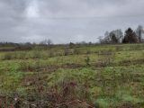  1793415-3291annonce220240219R15RT.jpeg Maisons Open