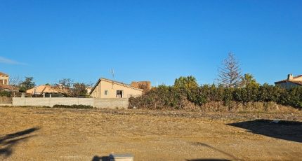 Villeneuve-lès-Béziers Terrain à bâtir - 1781892-4512annonce1202402023s2TD.jpeg Maisons Open