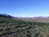  1817274-7156annonce220240319TheIM.jpeg Maisons Open