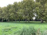  1816526-6150annonce320240318ev4WC.jpeg Maisons Open