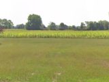  1762207-1807annonce320240111358hN.jpeg Maisons Open