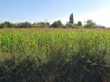  1787148-1807annonce220240209V29Ip.jpeg Maisons Open