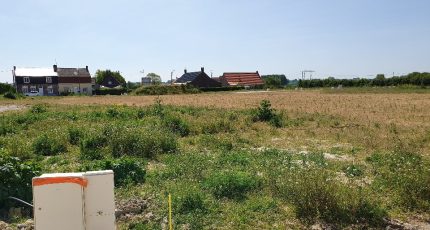 Audruicq Terrain à bâtir - 1802825-10722annonce12024030246vbq.jpeg Maisons Open