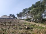  1739312-7048annonce320240228x6UOo.jpeg Maisons Open