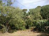  1757205-649annonce120240105VTSwH.jpeg Maisons Open