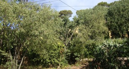Toulon Terrain à bâtir - 1757205-649annonce120240105VTSwH.jpeg Maisons Open