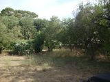  1757205-649annonce220240105NhrlI.jpeg Maisons Open